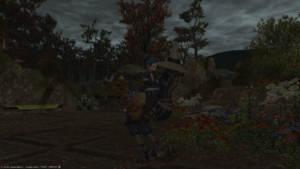 【FF14】【バディ チョコボ】開始クエスト「頼れる相棒」の受注場所は？